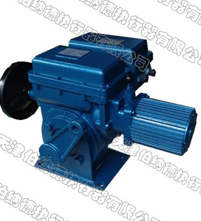 BSY-60/K(F)30H Series electric actuator