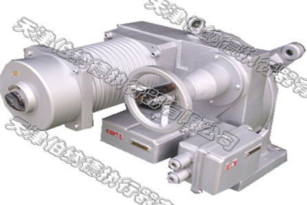 DKJ510BYM Explosion Proof Electrical Integration Actuator